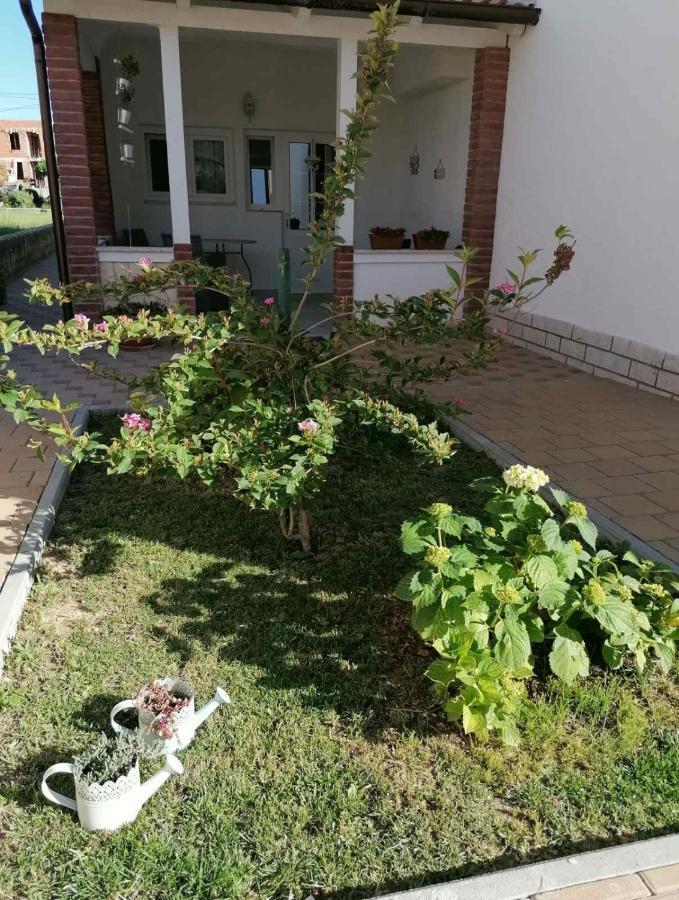 Apartmani B&S Barbat na Rabu Kültér fotó